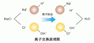 HYSEN-離子交換的基本原理